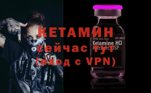 apvp Гусев