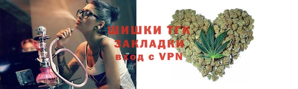 мяу мяу мука Гусь-Хрустальный
