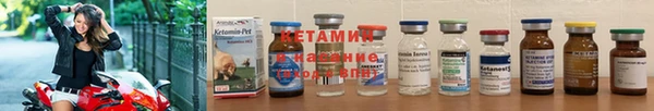 apvp Гусев