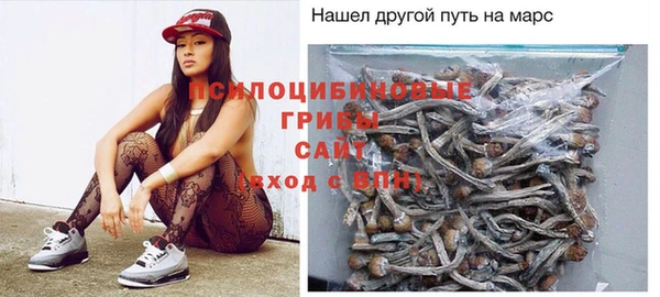 мяу мяу мука Гусь-Хрустальный