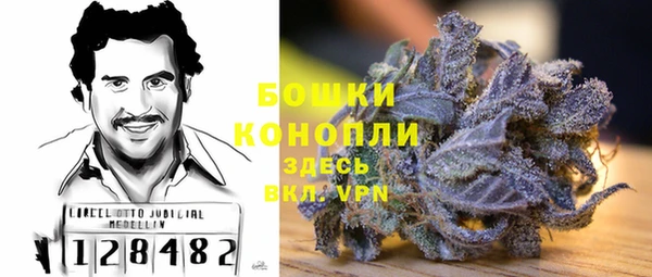 apvp Гусев