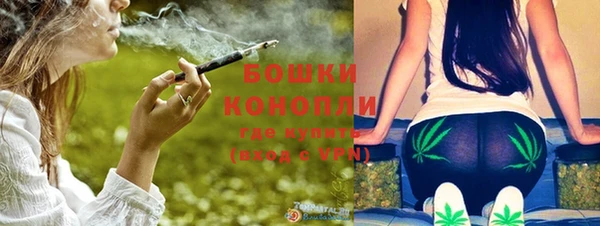 apvp Гусев