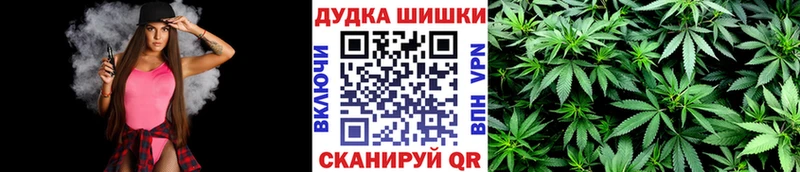 Каннабис сатива  Купить где  Кирово-Чепецк 